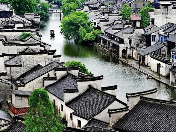 救援甜蜜熊